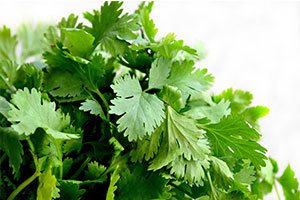 Beneficios del cilantro para adelgazar y otros