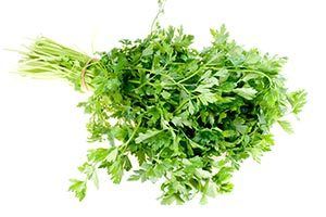 Propiedades nutritivas del cilantro