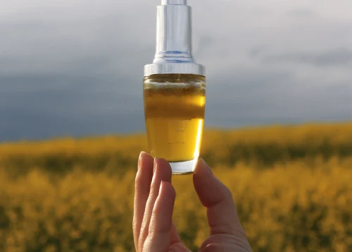 propiedades y beneficios del aceite de oliva para la piel